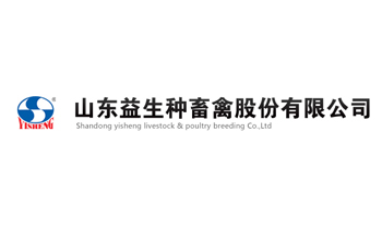 烟台网站建设